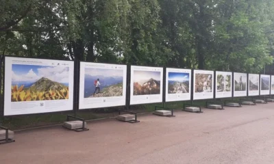 Выставка из цикла «Путешествуйте дома» открылась в Москве в зоне отдыха «Борисовские пруды»