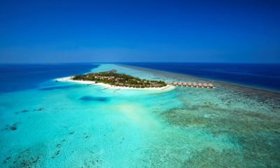 Удивительные дайв-сайты в отеле Velassaru Maldives