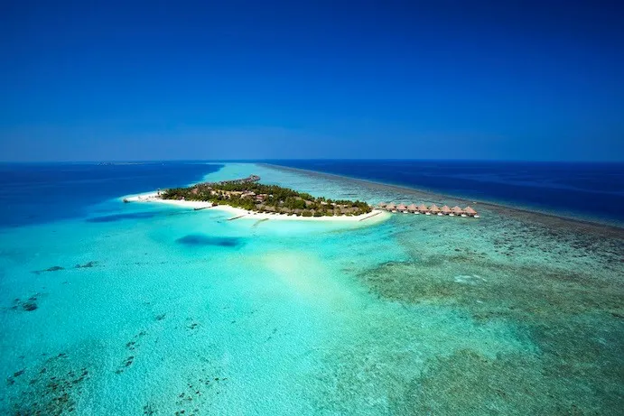 Удивительные дайв-сайты в отеле Velassaru Maldives