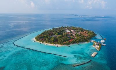 Посмотреть на скатов Манта в Kurumba Maldives