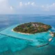 Посмотреть на скатов Манта в Kurumba Maldives