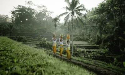 Ситуация с COVID в Индонезии