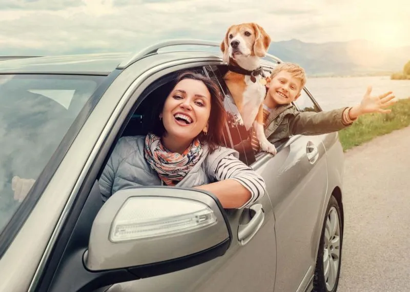 О полисе ОСАГО: оформление, действие полиса и некоторые нюансы