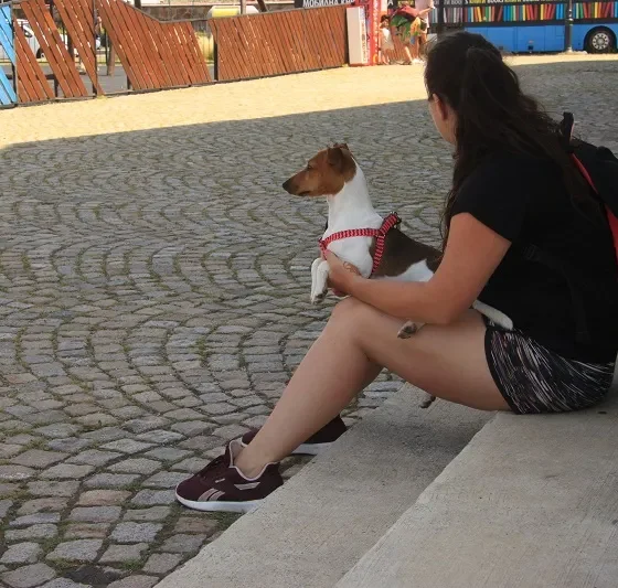 Путешествуем по Болгарии. Остров Святой Анастасии