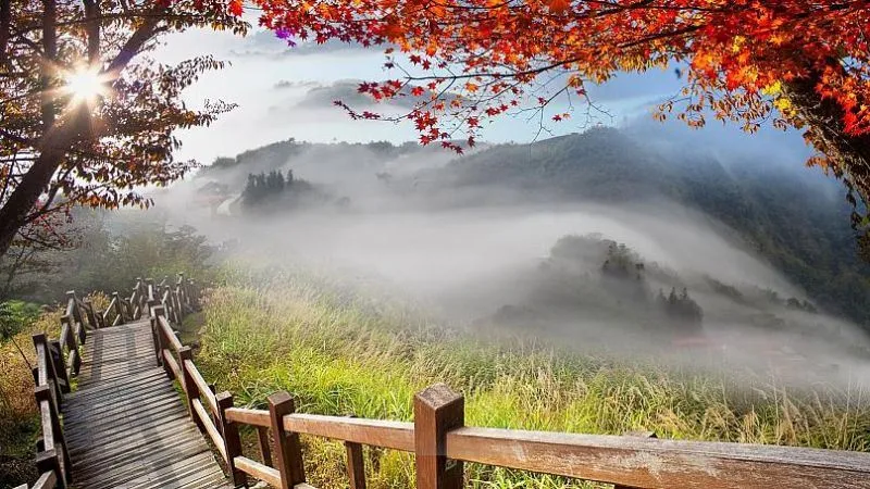 Мадейра — райский остров с тропическими лесами и черными пляжами