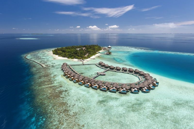 Помогайте коралловым рифам вместе с BAROS MALDIVES