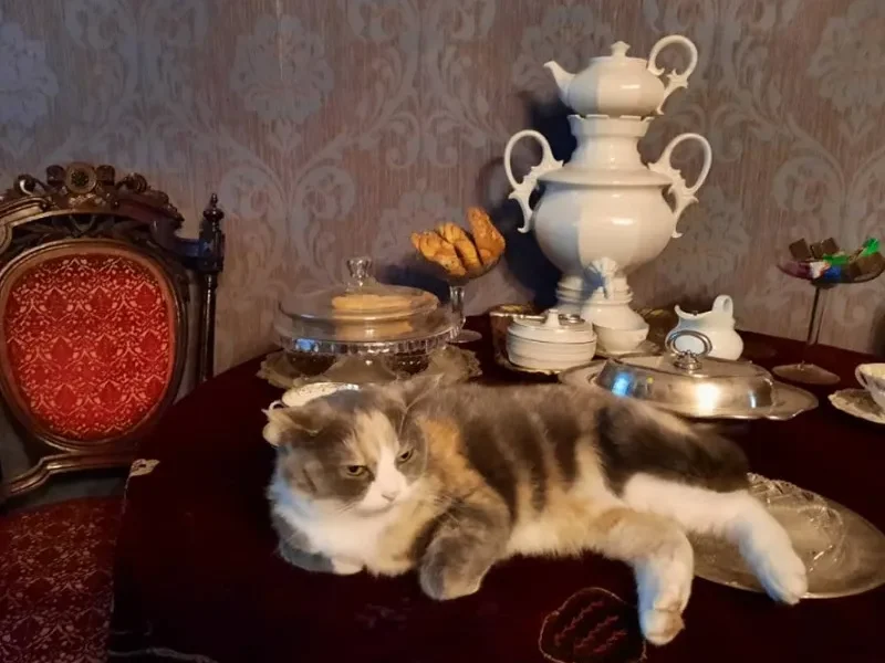 Неизведанная Кострома