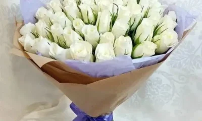 Романтическое свидание в Питере: где прогуляться с девушкой