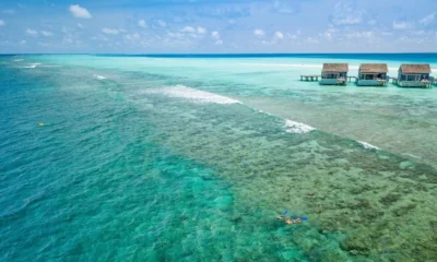 Морской биолог в Kuramathi Maldives