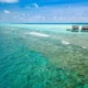 Морской биолог в Kuramathi Maldives