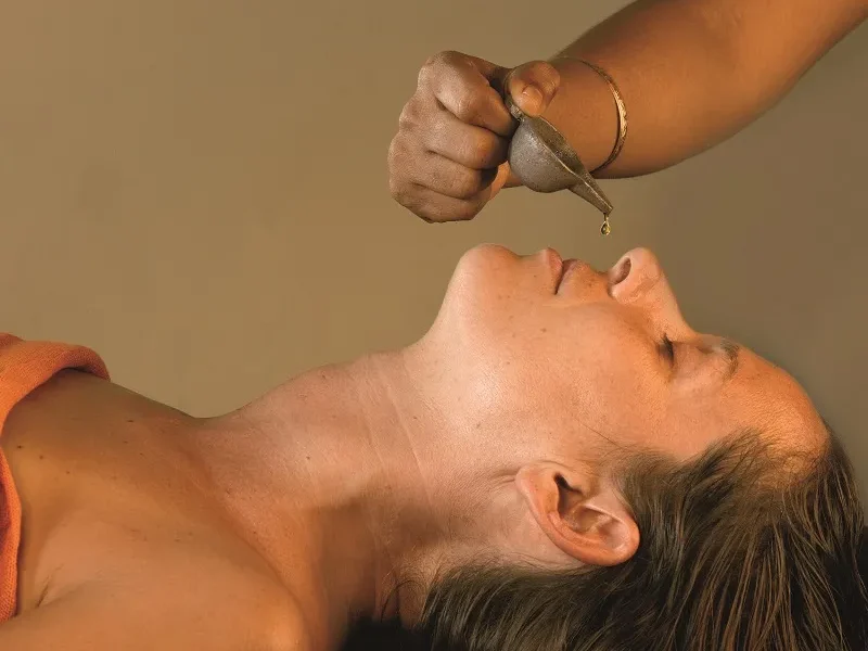 Восемь ветвей Аюрведы. Как выбрать тур в Индию