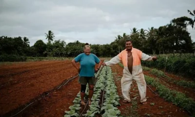 Острова Кука: спланируйте поездку на 2022 год