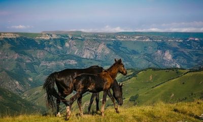 Незаслуженно забытый Ставропольский край