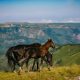 Незаслуженно забытый Ставропольский край