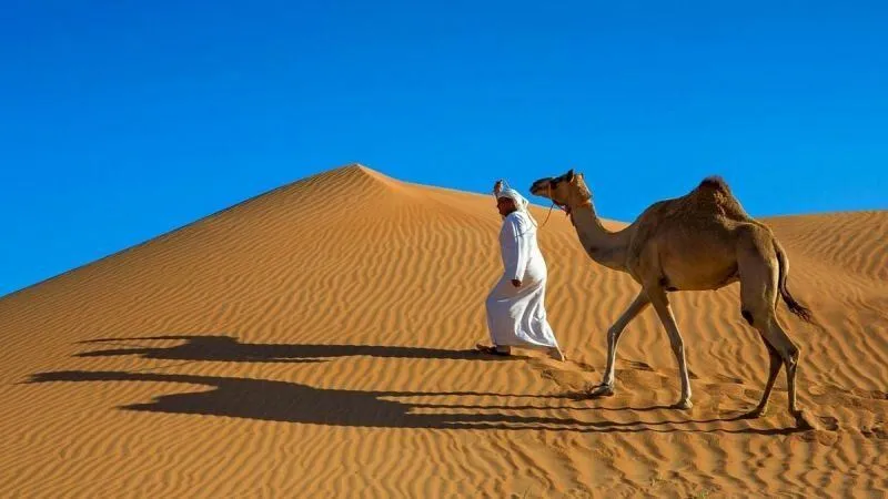 Саудовская Аравия —  больше, чем песчаные дюны и верблюды