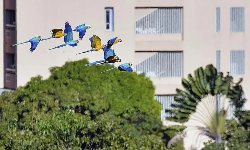 Венесуэла — одно из самых красивых мест на земле