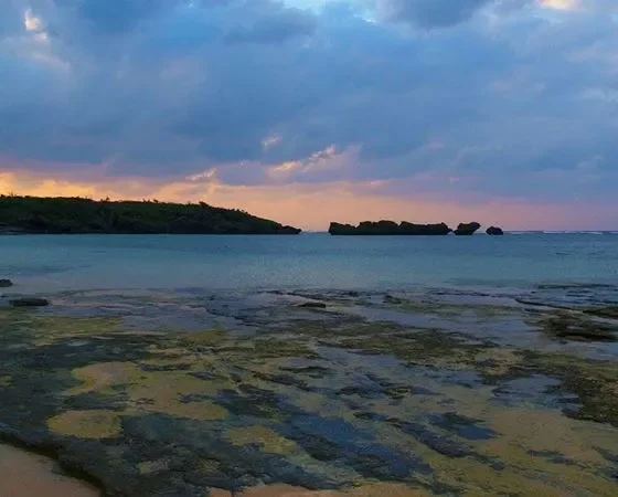 Ириомотэ -  Дикий и живописный остров Японии