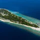 Рыбалка по-крупному в Dhigali Maldives