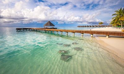 Оплачивайте отпуск наличными в отелях Sun Siyam Resorts