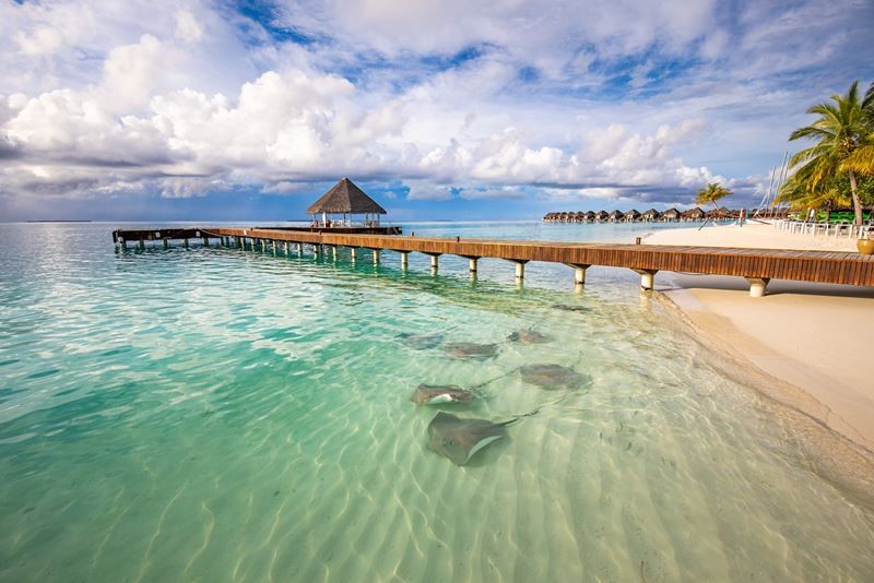 Оплачивайте отпуск наличными в отелях Sun Siyam Resorts