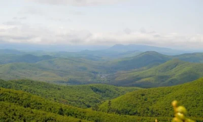 Названо число россиян