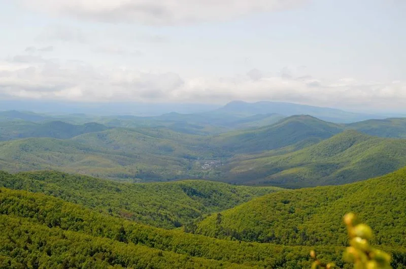 Названо число россиян, посетивших Краснодарский край с начала года