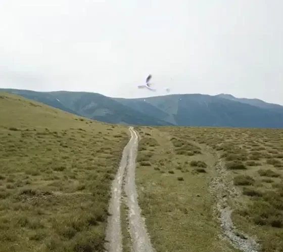 Австрийская дорога на Алтае: кусочек Европы в сердце Азии