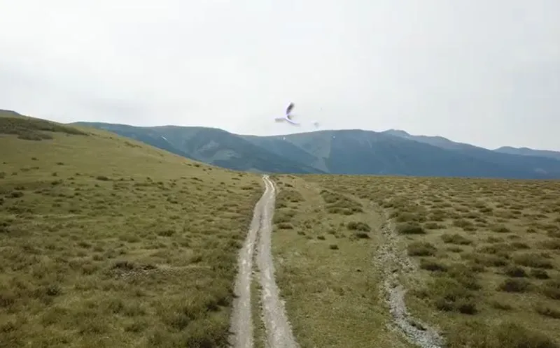 Австрийская дорога на Алтае: кусочек Европы в сердце Азии