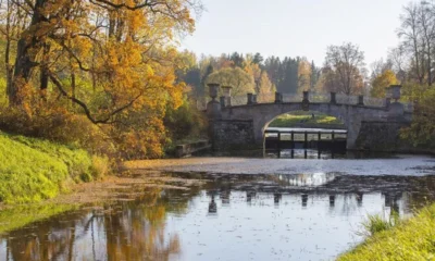Что смотреть туристу в Павловске? ТОП-5 достопримечательностей