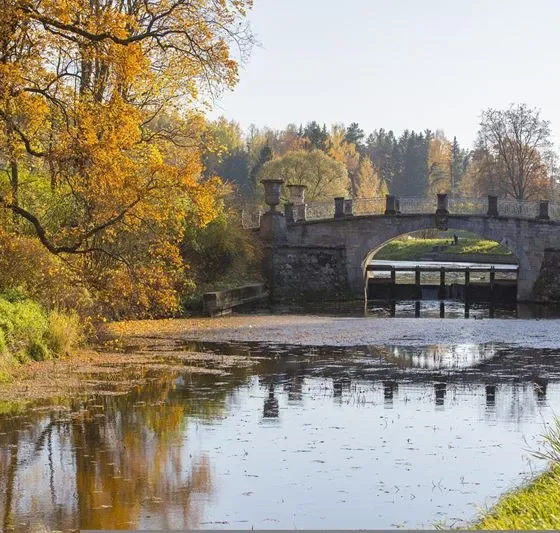 Что смотреть туристу в Павловске? ТОП-5 достопримечательностей