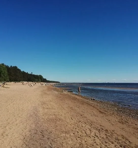 «На недельку до второго». Что смотреть туристу в Комарове? ТОП-5 достопримечательностей