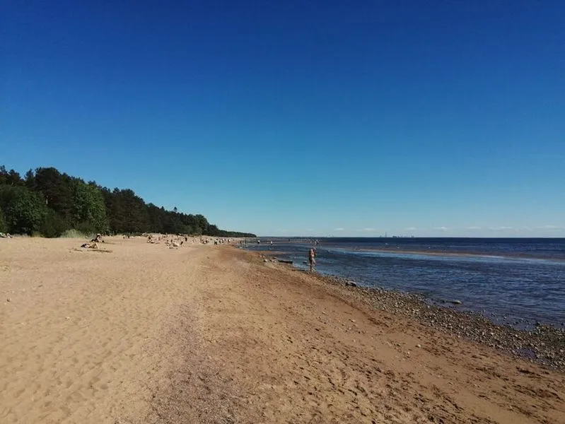 «На недельку до второго». Что смотреть туристу в Комарове? ТОП-5 достопримечательностей