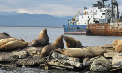 Столицу Камчатки лишили главной достопримечательности