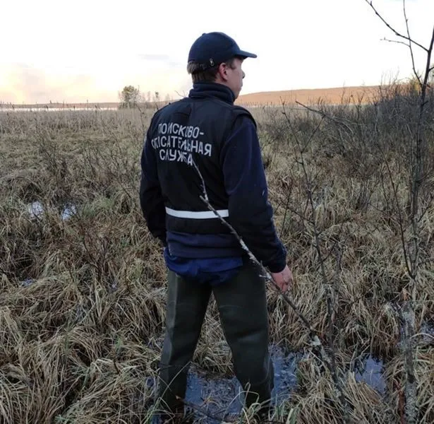 Турист пропал на болоте, увлекшись сбором клюквы