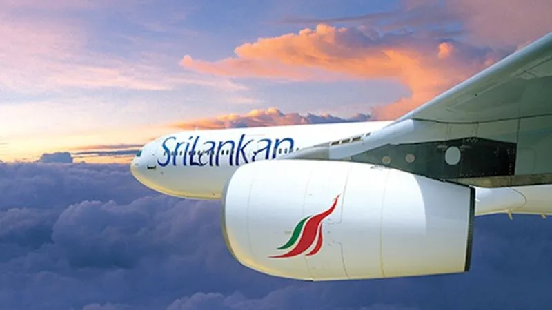 Неудачно поел. Airbus A330 едва не разбился из-за обеда пилота