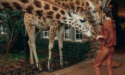 «Делать там нечего». Блиновская откровенно рассказала об отдыхе в Африке