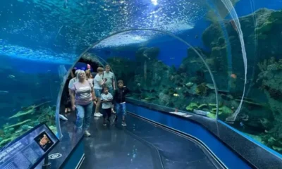 Составлен ТОП-3 гигантских аквариумов России