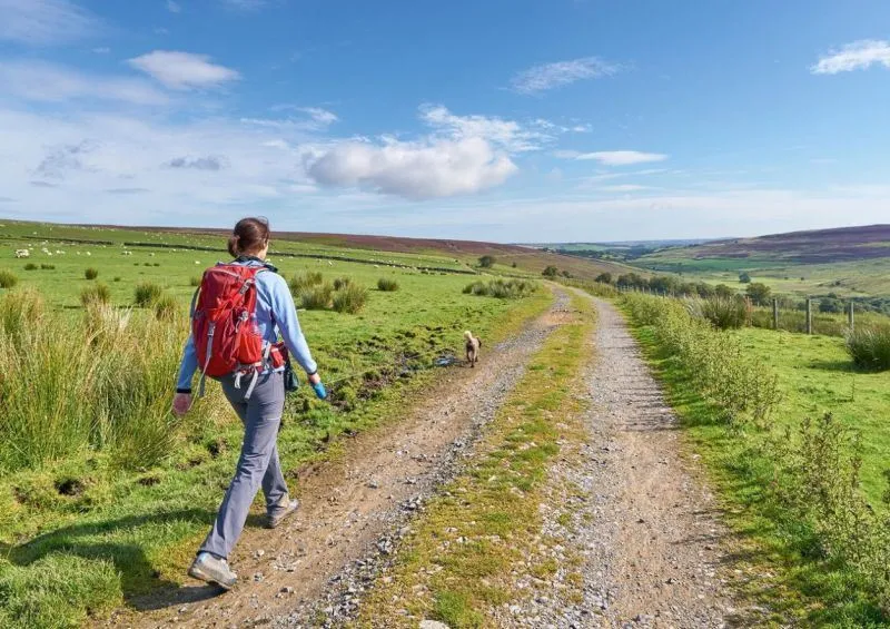 Россиянам рассказали, как в 2023-м году отдохнуть почти два месяца, потратив всего 22 дня отпуска