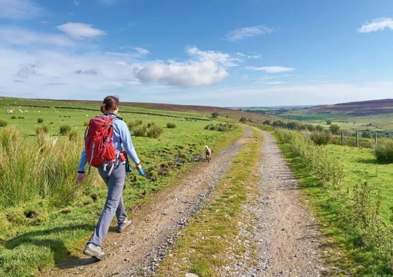 Более 10 процентов россиян остались без отпуска