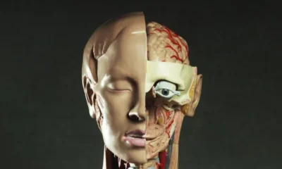 Что лучше рекламирует туризм