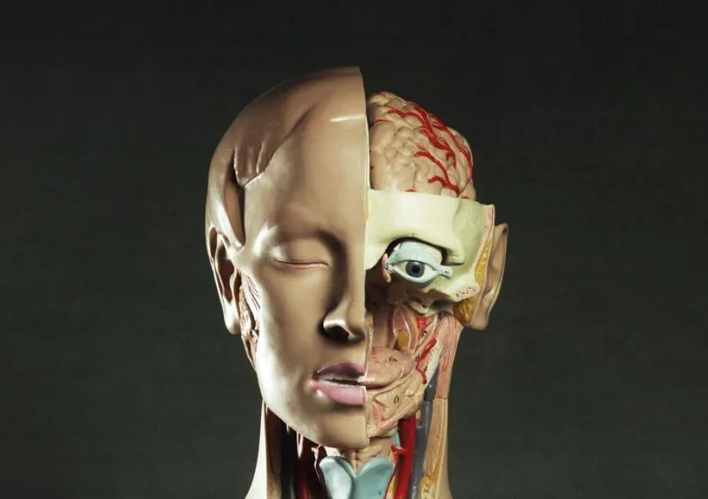 Что лучше рекламирует туризм