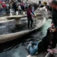 Экоактивисты испортили воду в известнейшем фонтане Италии