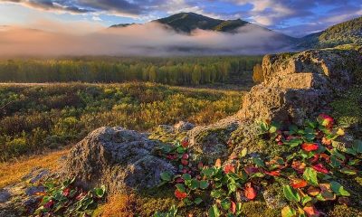 Любителям красивых фотографий предложили альтернативу Альпам