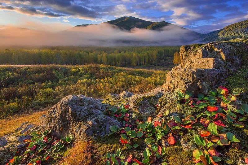 Любителям красивых фотографий предложили альтернативу Альпам