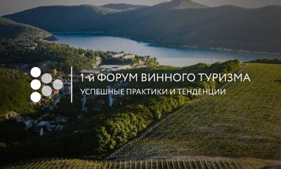 В Абрау-Дюрсо подвели итоги I Форума винного туризма