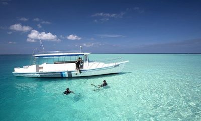 Дайвинг как искусство: погружаемся в яркий подводный мир Velassaru Maldives