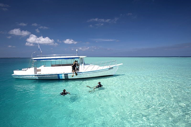 Дайвинг как искусство: погружаемся в яркий подводный мир Velassaru Maldives