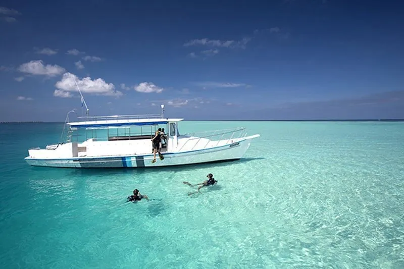 Дайвинг как искусство: погружаемся в яркий подводный мир Velassaru Maldives