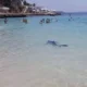 На одном из пляжей Испании акула распугала отдыхающих