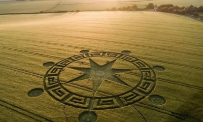 Самые необычные экскурсии мира